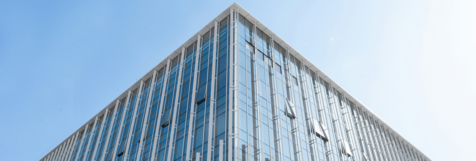 威客电竞(vkgame)-为竞技而生